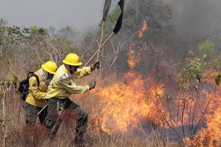 google-doa-r$-1,2-milhao-para-combate-a-incendios-no-brasil-|-cnn-brasil