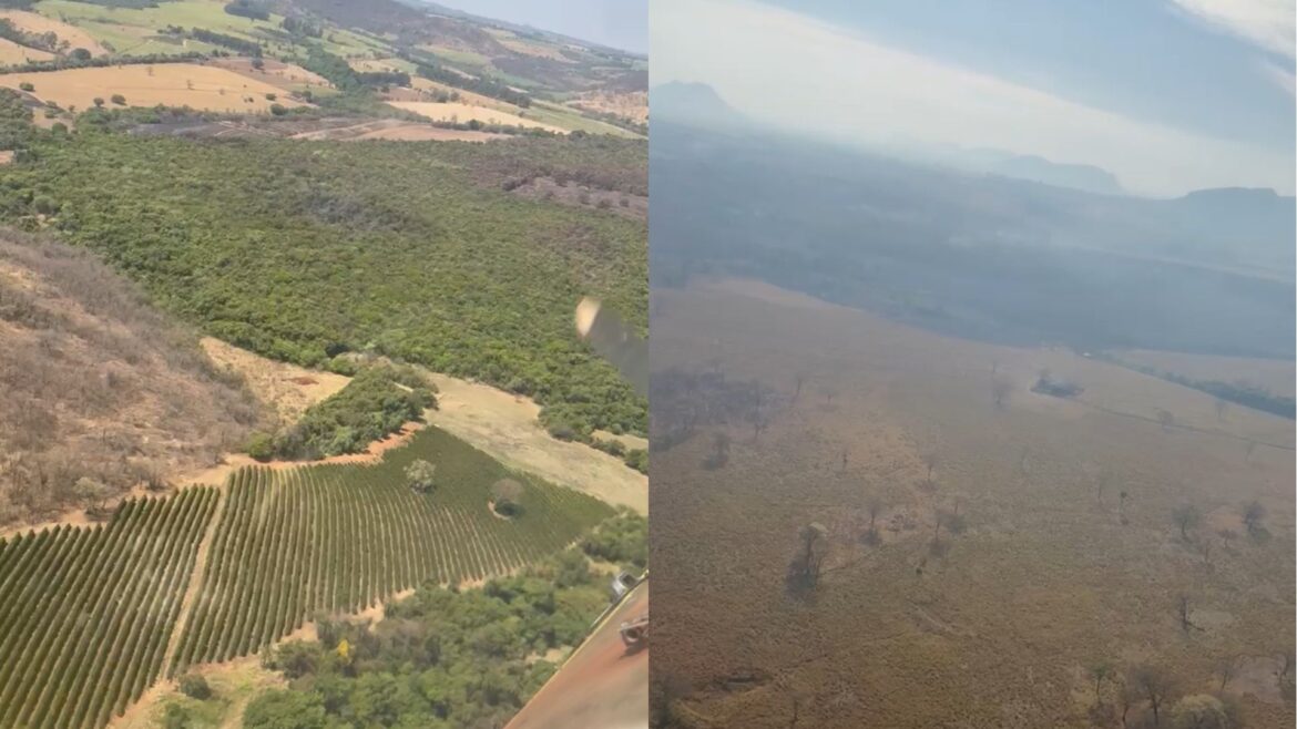 risco-extremo-de-queimadas-mobiliza-gabinete-de-crise-em-sp-|-cnn-brasil