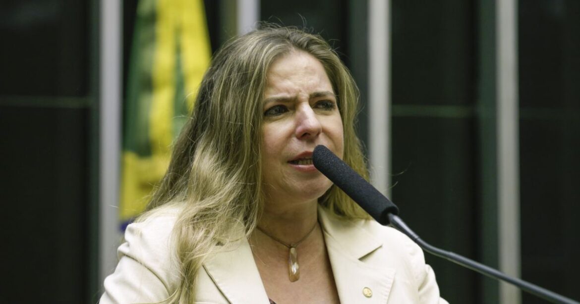 deputada-do-pt-segue-detida-em-israel;-assessoria-quer-liberacao-“imediata”-|-cnn-brasil