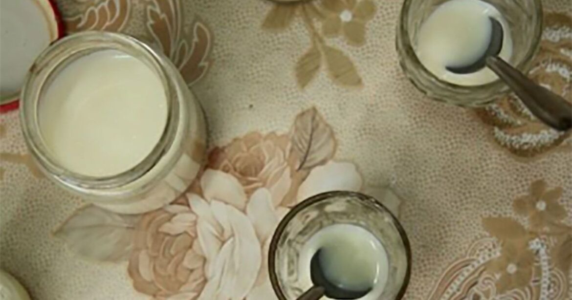 cientistas-criam-iogurte-com-formigas-para-restaurante-michelin;-entenda-|-cnn-brasil