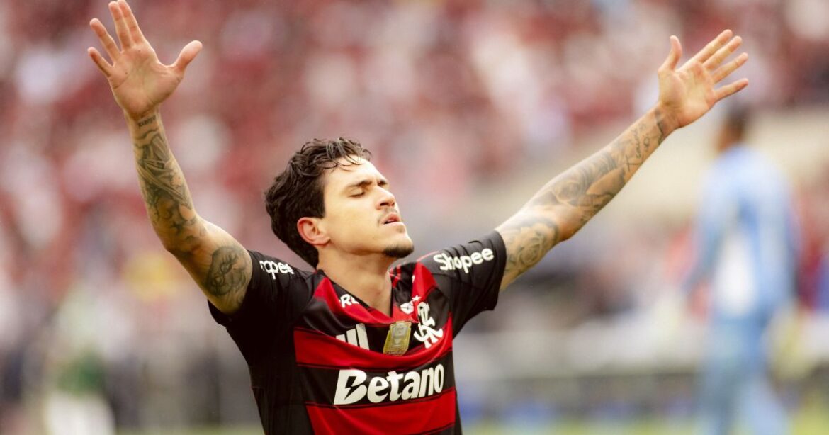veja-o-terceiro-gol-do-flamengo-contra-o-palmeiras,-marcado-por-pedro-|-cnn-brasil