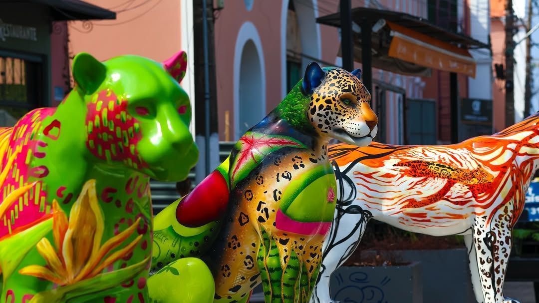 oncas-pintadas-ocupam-belem-e-chamam-atencao-para-a-preservacao-|-cnn-brasil oncas-pintadas-ocupam-belem-e-chamam-atencao-para-a-preservacao-|-cnn-brasil