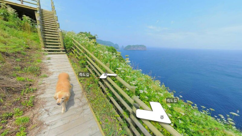 golden-viraliza-apos-seguir-fotografo-e-aparecer-em-fotos-do-google-stret-|-cnn-brasil